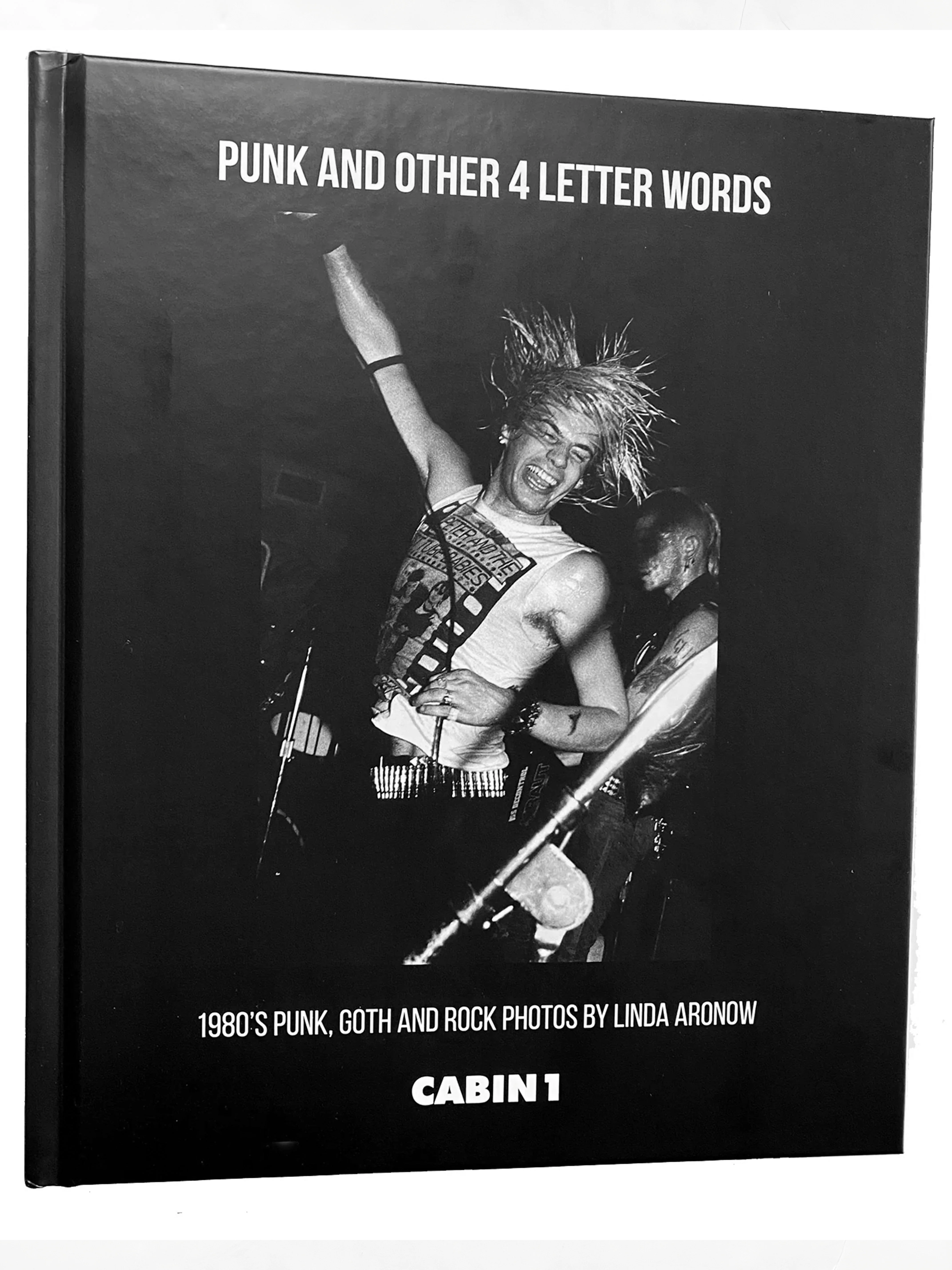Punk and Other Four Letter Words