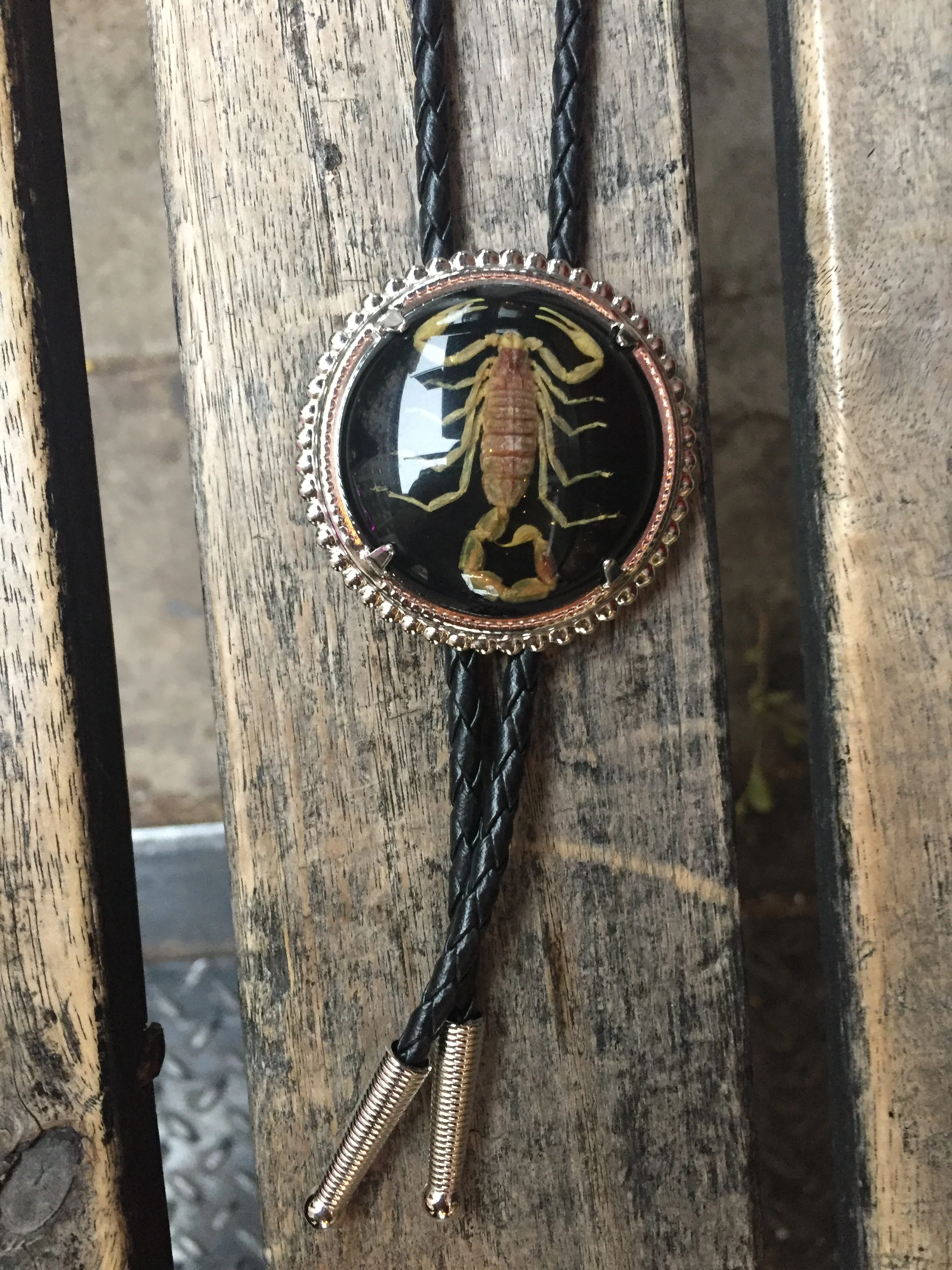 SCORPION BOLO TIE (BLACK) - Image 3