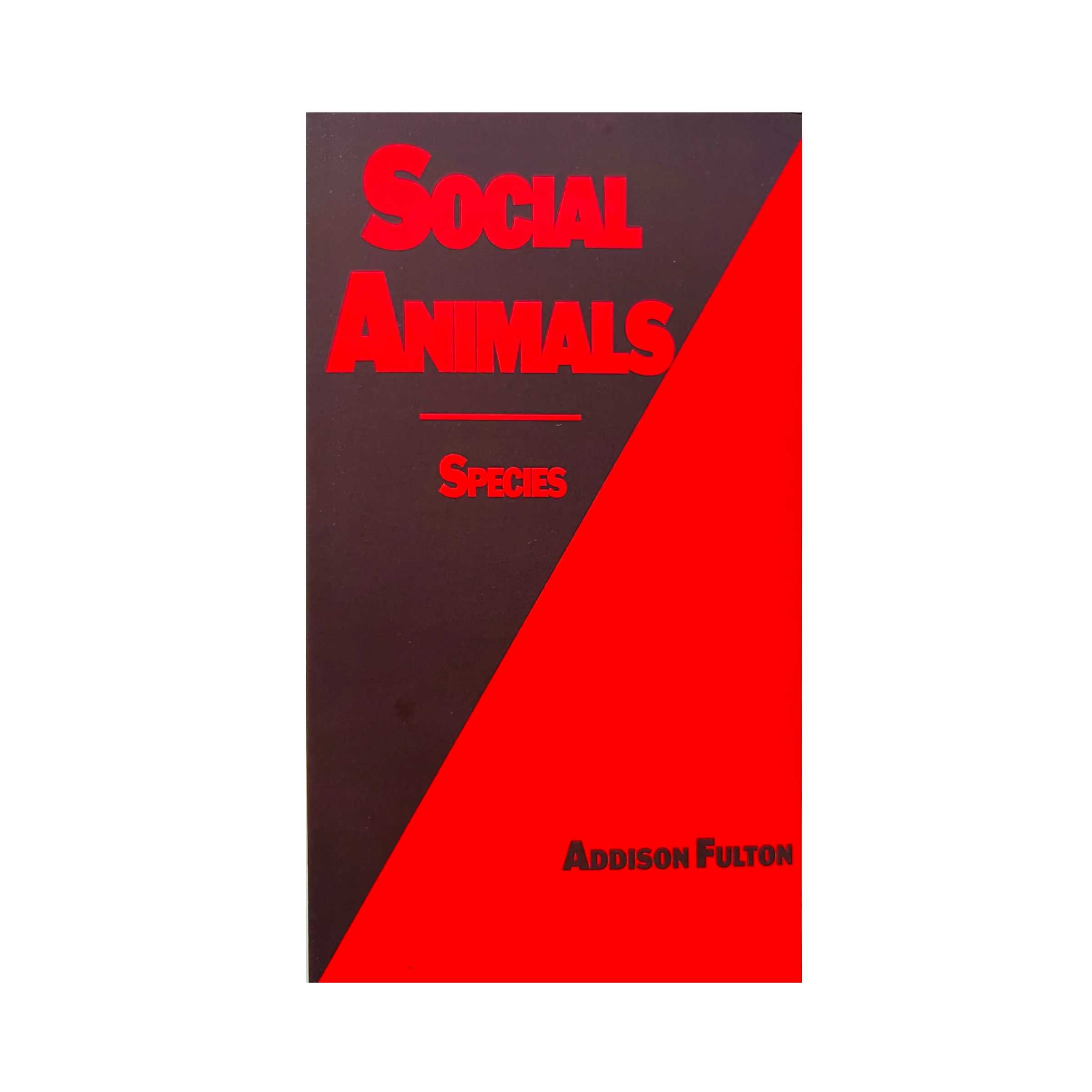 SOCIAL ANIMALS - Image 3