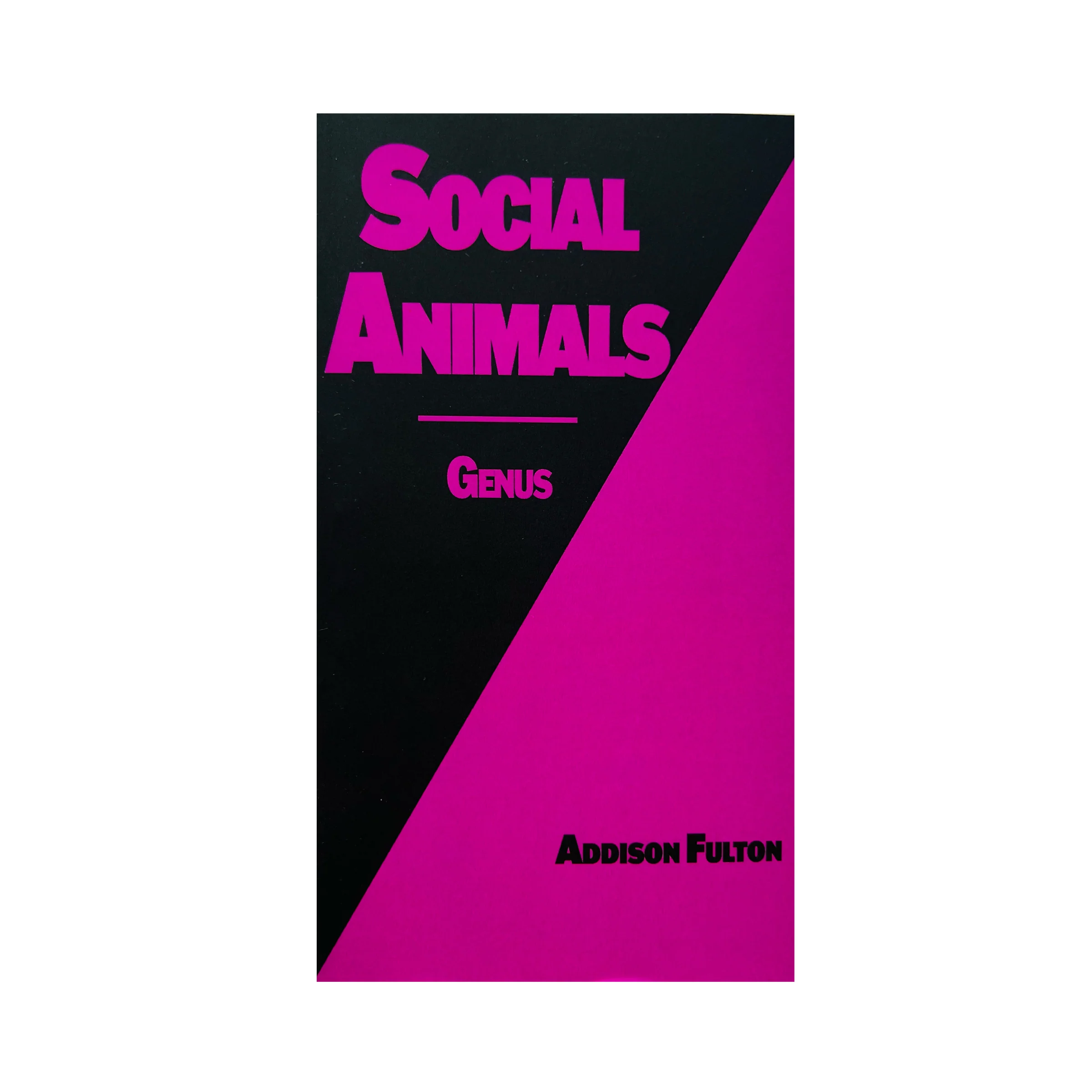 SOCIAL ANIMALS - Image 6