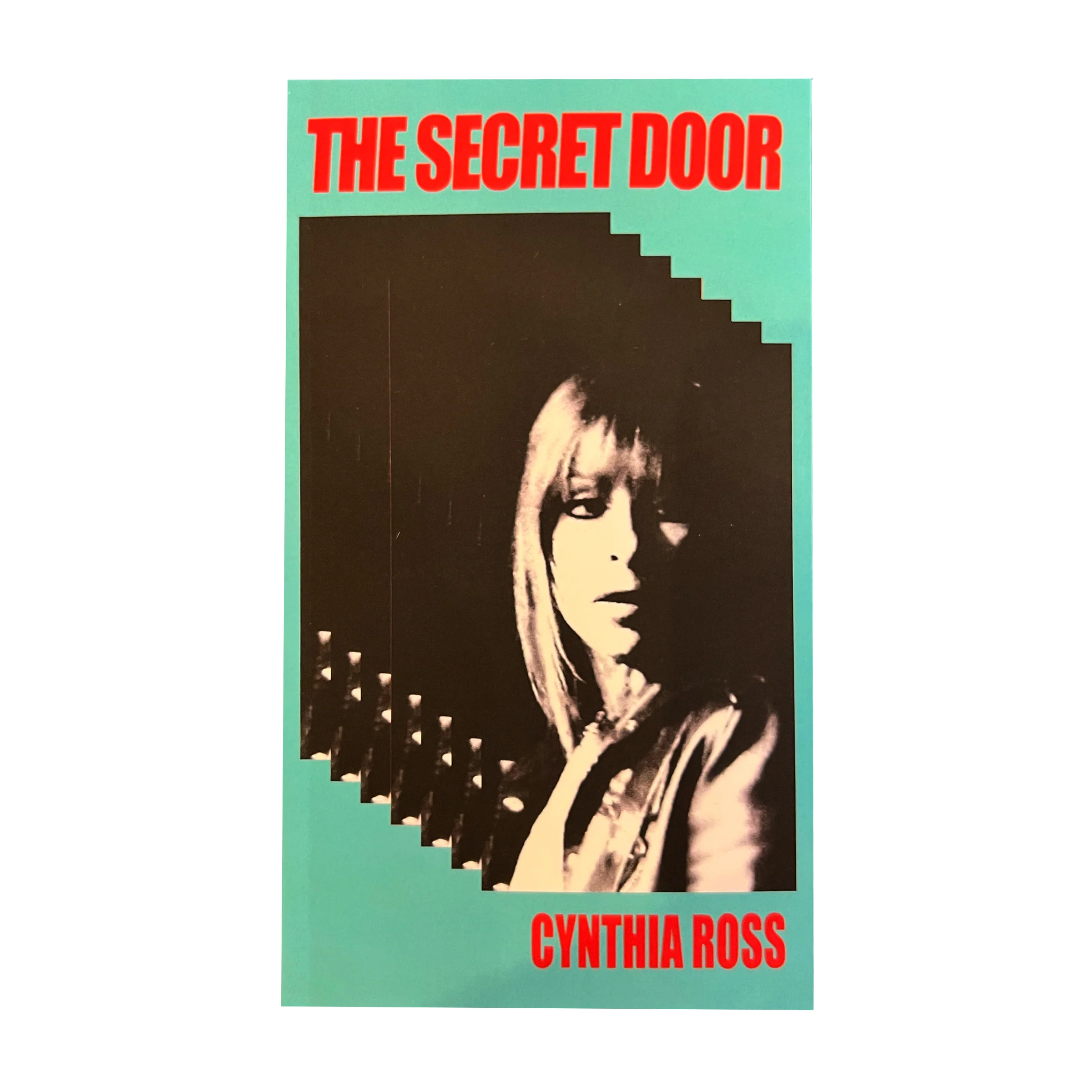 THE SECRET DOOR